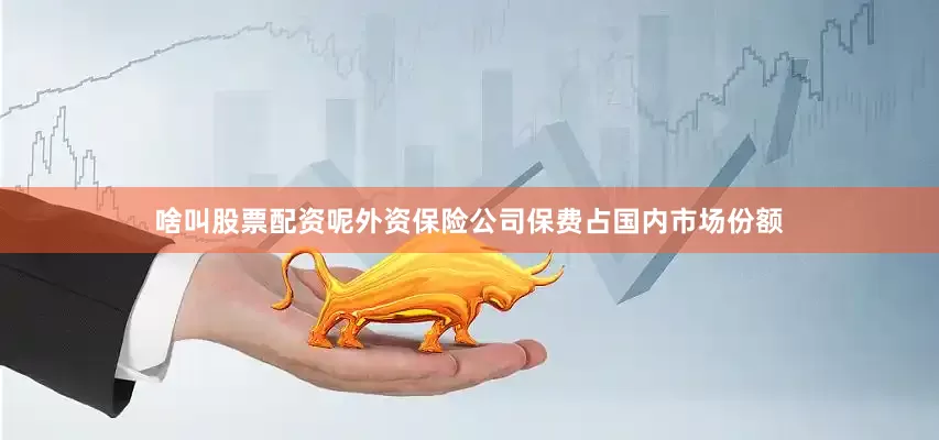 啥叫股票配资呢外资保险公司保费占国内市场份额