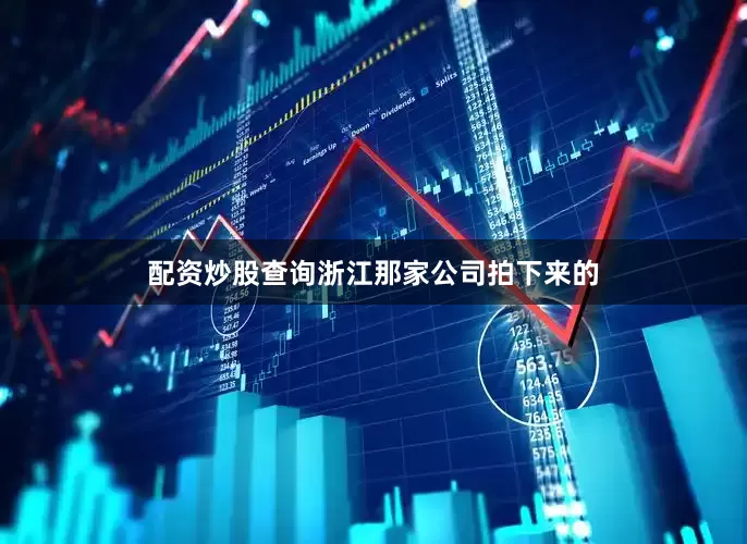配资炒股查询浙江那家公司拍下来的